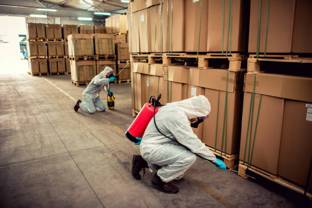 Best Emergency Pest Control  in Winnsboro, LA