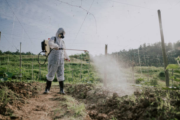 Best Ant Control Services  in Winnsboro, LA