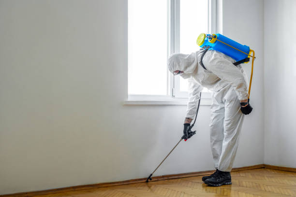 Trusted Winnsboro, LA Pest Control Experts