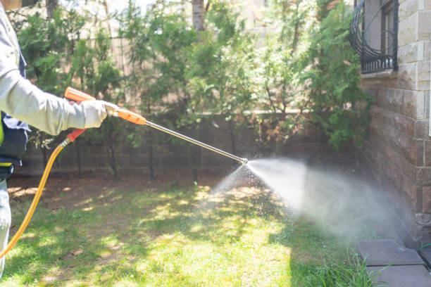 Insect Control in Winnsboro, LA