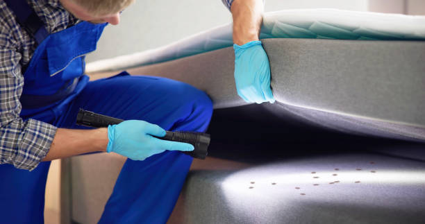 Best Wasp Removal Services  in Winnsboro, LA