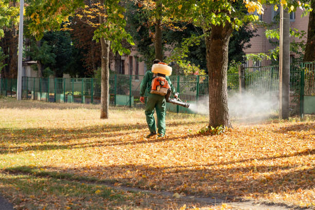 Best Mosquito Control Services  in Winnsboro, LA