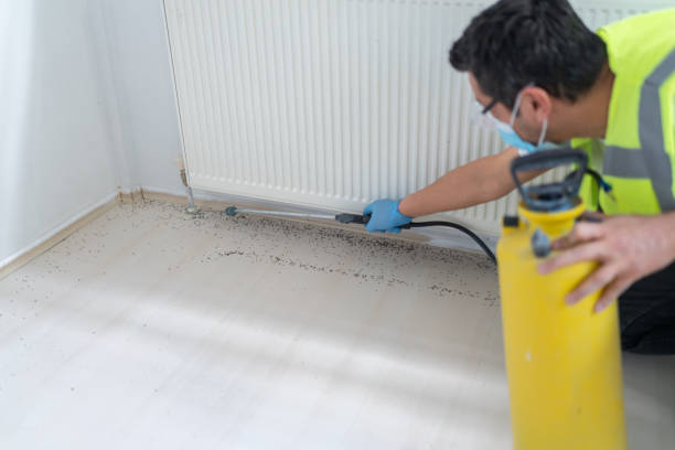 Best Termite Control Services  in Winnsboro, LA