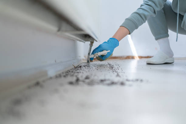 Best Pest Removal Services  in Winnsboro, LA