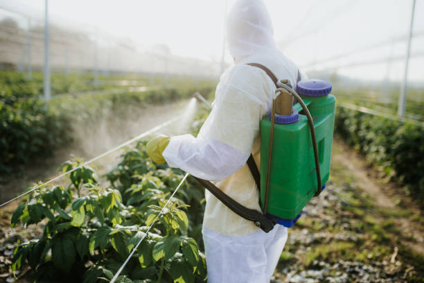 Best Emergency Pest Control  in Winnsboro, LA
